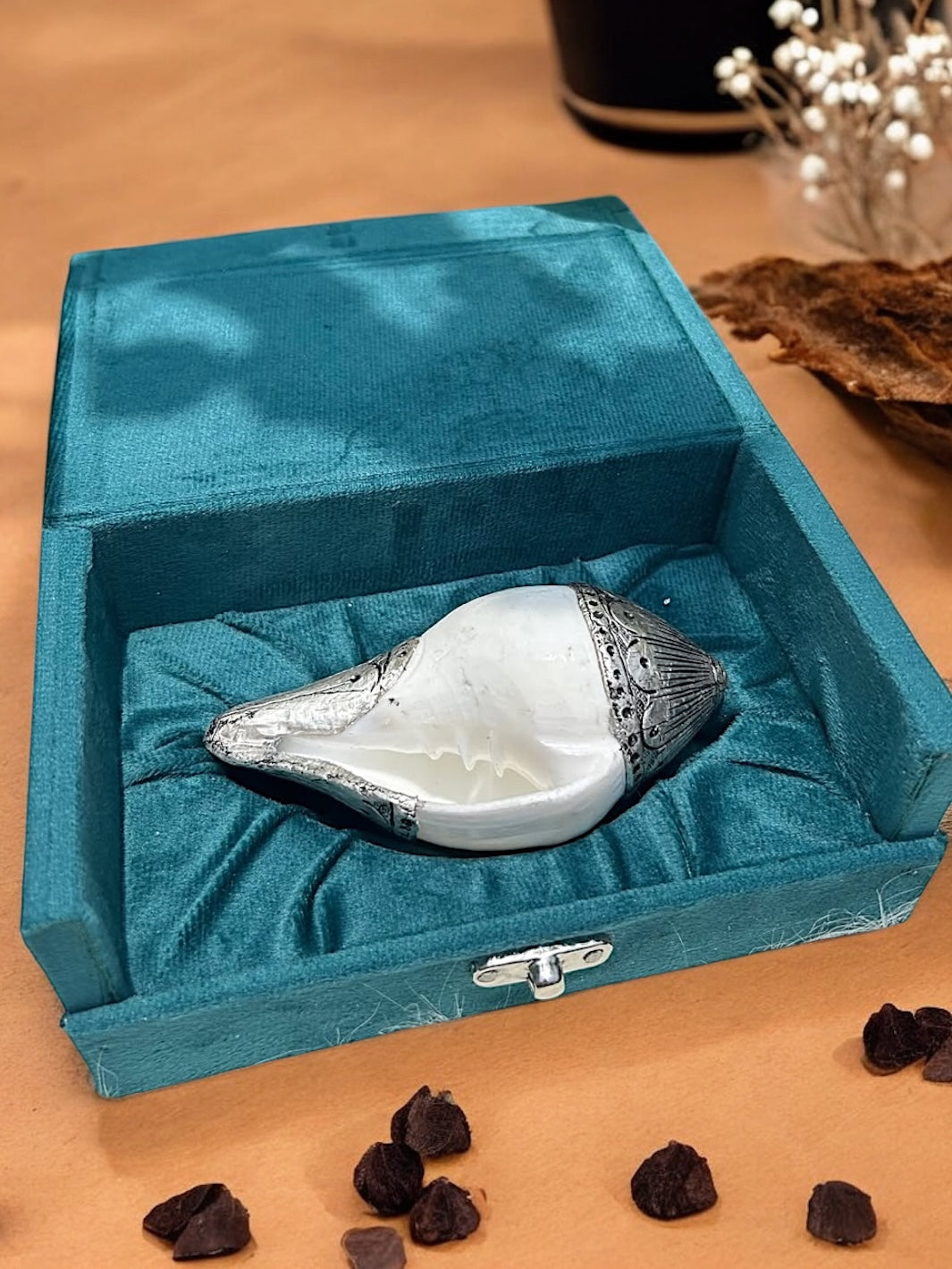 Pure Silver Vamavarti Shankh Conch Shell