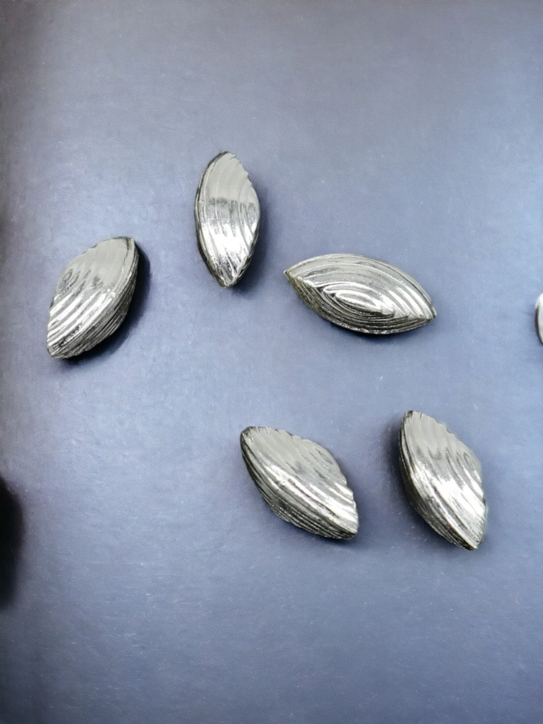 Silver Elaichi/ Cardamom (13-17 pieces)