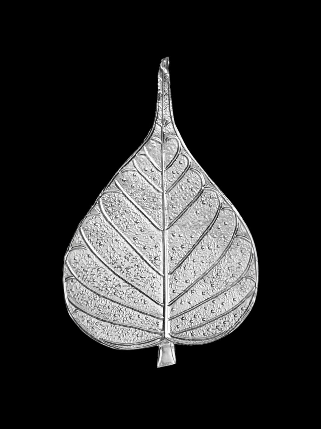 Silver Peepal Leaves/ Ficus religiosa Leaves